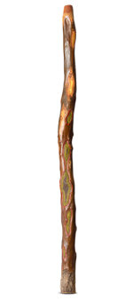 Heartland Didgeridoo (HD576)